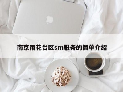 南京雨花台区sm服务的简单介绍